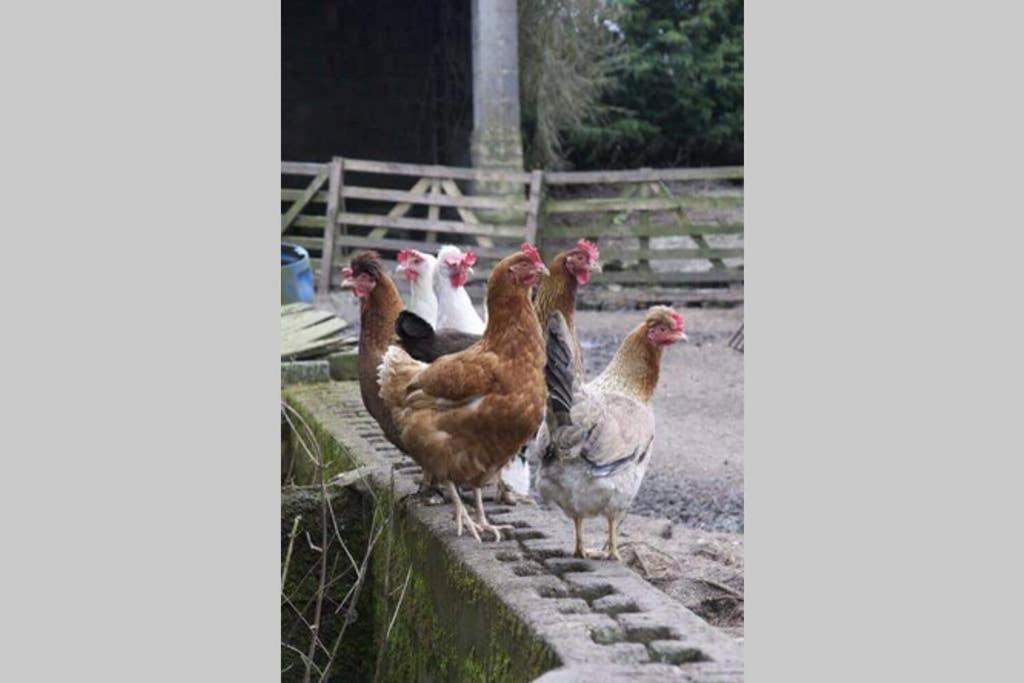 Stones Cottage Farm, Nr Haworth, Family Friendly, Work Friendly, Gaming Barn, Crafting, Free Wifi, Free Parking, Ev Point อ็อกเซนโฮป ภายนอก รูปภาพ