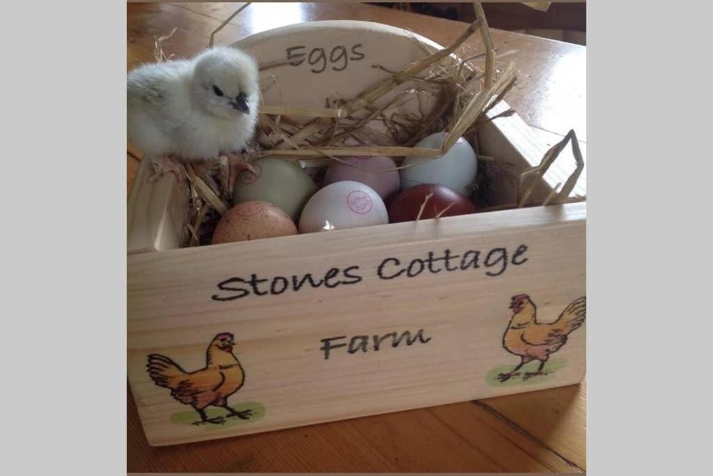 Stones Cottage Farm, Nr Haworth, Family Friendly, Work Friendly, Gaming Barn, Crafting, Free Wifi, Free Parking, Ev Point อ็อกเซนโฮป ภายนอก รูปภาพ